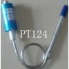 PT124-80MPa-M14*1.5